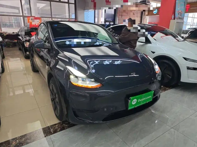 Tesla Model Y — Фото автомобиля 3