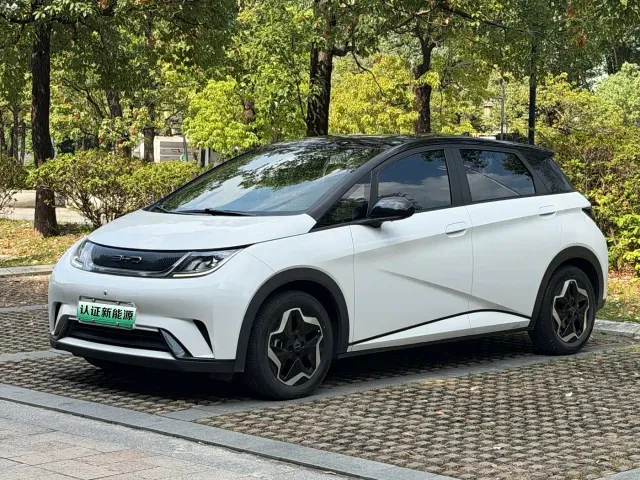 Фотография автомобиля — BYD Dolphin