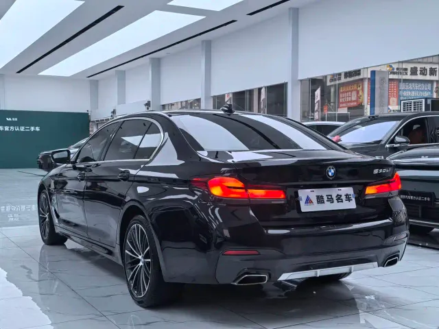 BMW 5 Series — Фото автомобиля 13