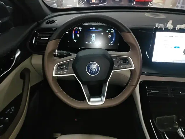 BYD Qin PLUS — Фото автомобиля 10