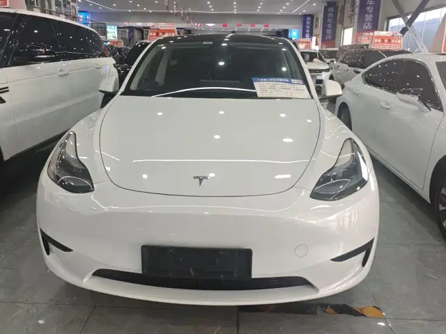 Tesla Model Y — Фото автомобиля 2