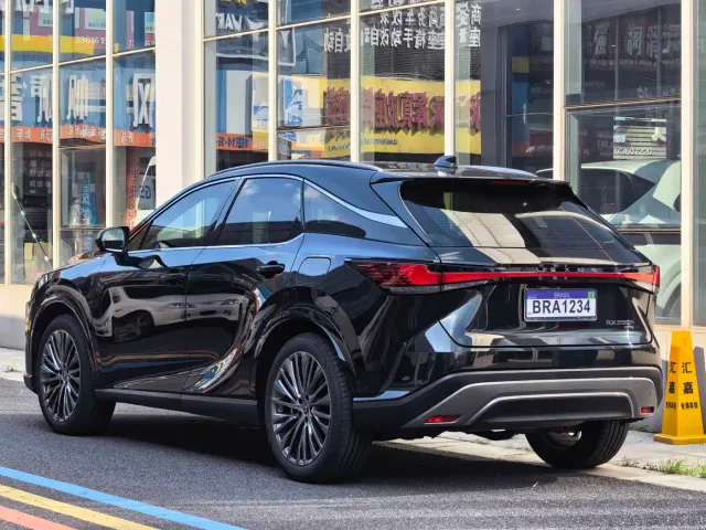 Lexus RX — Фото автомобиля 12