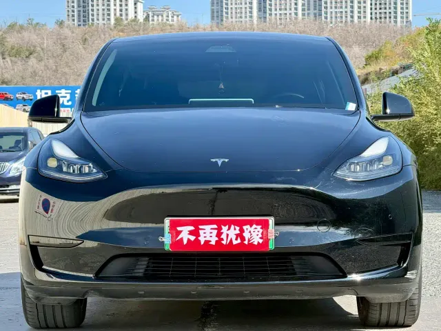Tesla Model Y — Фото автомобиля 2