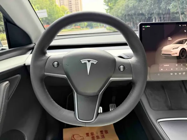 Tesla Model Y — Фото автомобиля 14