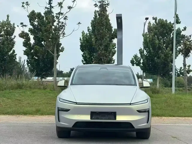 Tesla Model Y — Фото автомобиля 2