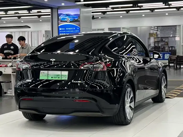 Tesla Model Y — Фото автомобиля 7