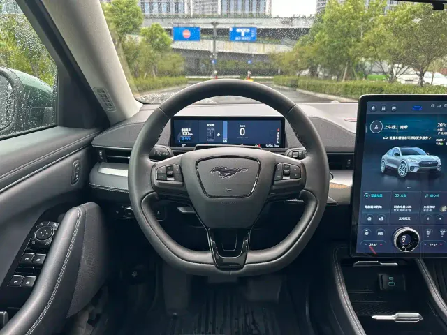 Ford Mustang Mach-E — Фото автомобиля 14