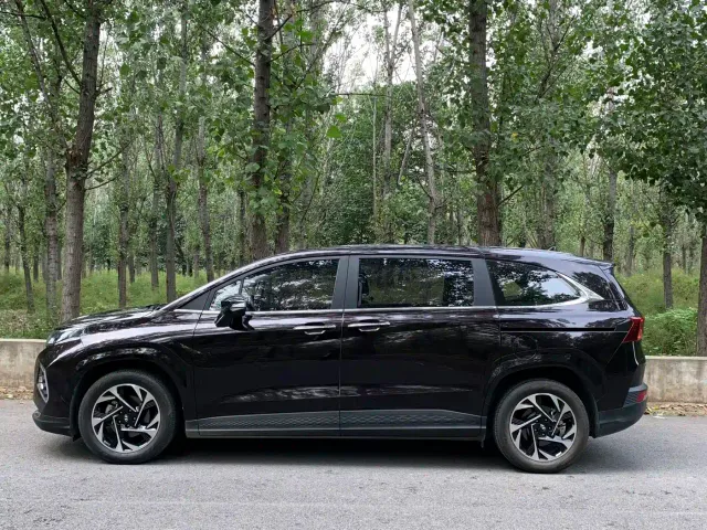 Hyundai Custo — Фото автомобиля 4