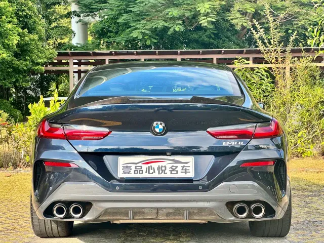 BMW 8 Series — Фото автомобиля 14