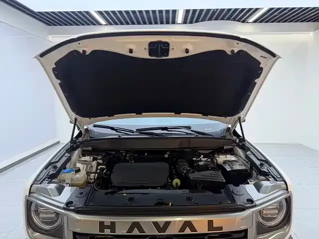 Haval Big Dog — Фото автомобиля 15
