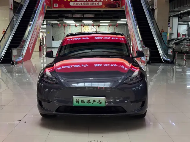 Tesla Model Y — Фото автомобиля 2