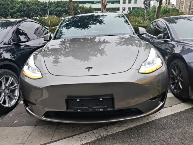 Tesla Model Y — Фото автомобиля 2