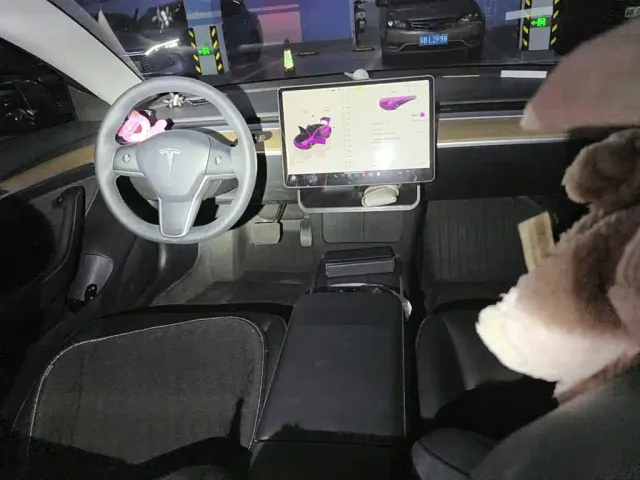 Tesla Model 3 — Фото автомобиля 12