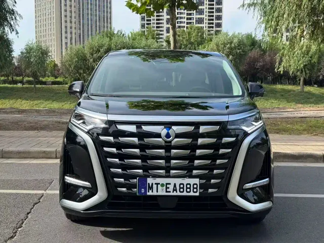 Denza D9 — Фото автомобиля 2