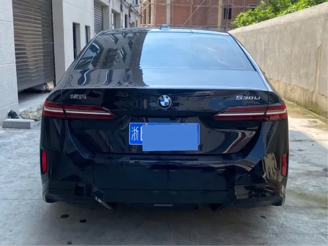 BMW 5 Series — Фото автомобиля 5
