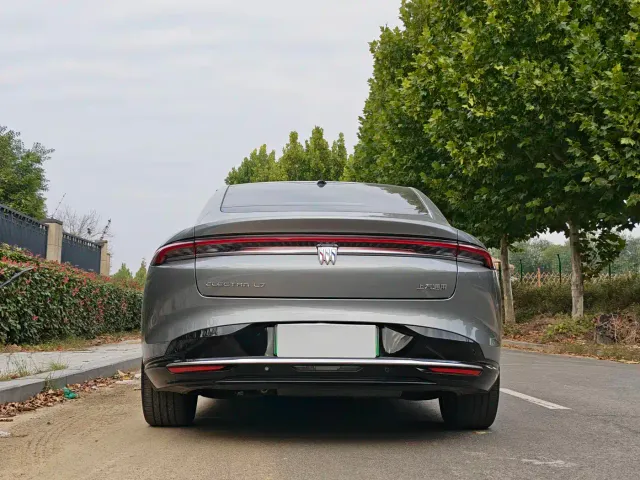 Buick Electra L7 — Фото автомобиля 6