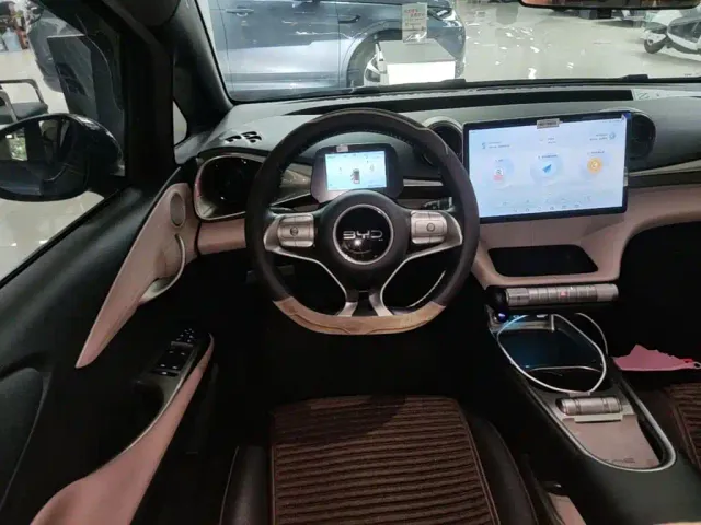 BYD Dolphin — Фото автомобиля 10