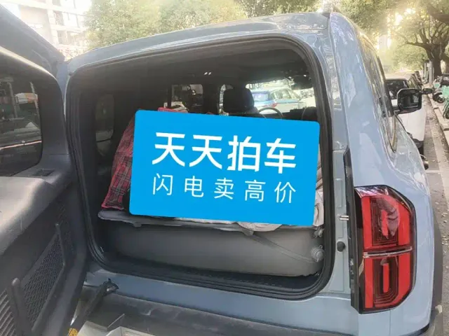 BYD FangChengBao Leopard 5 — Фото автомобиля 5