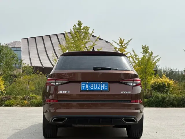 Skoda Kodiaq — Фото автомобиля 8