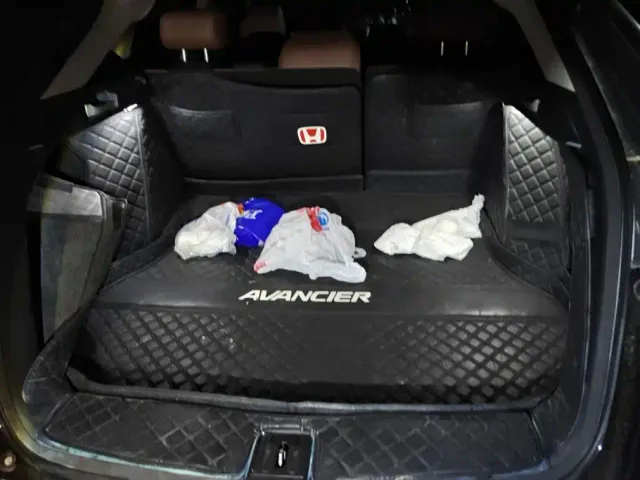Honda Avancier — Фото автомобиля 4