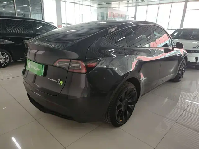 Tesla Model Y — Фото автомобиля 6