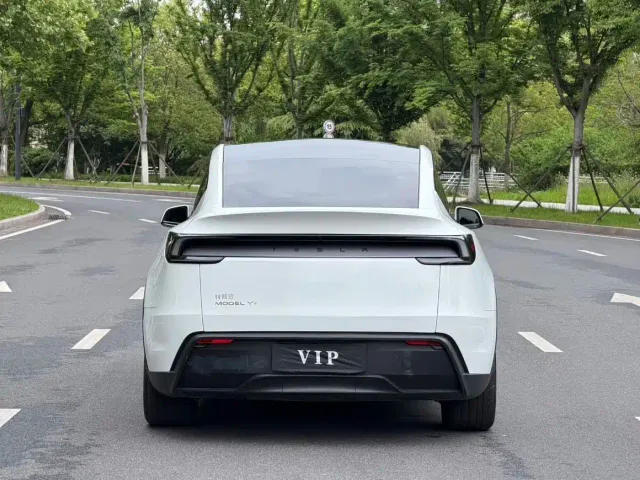 Tesla Model Y 2025 Rear-Wheel Drive — Фото автомобиля 11