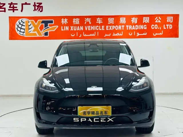 Tesla Model Y — Фото автомобиля 2