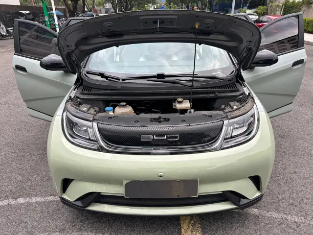 BYD Dolphin — Фото автомобиля 16