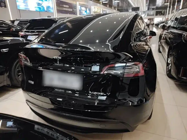 Tesla Model Y — Фото автомобиля 5