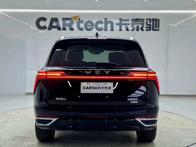 Wey Lanshan — Фото автомобиля 4