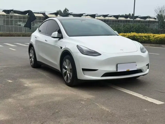 Tesla Model Y — Фото автомобиля 3
