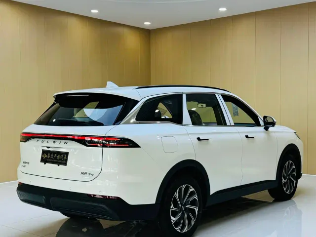 Chery Fulwin T9 — Фото автомобиля 13