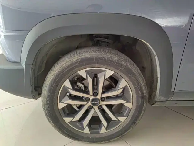 Haval Big Dog — Фото автомобиля 22