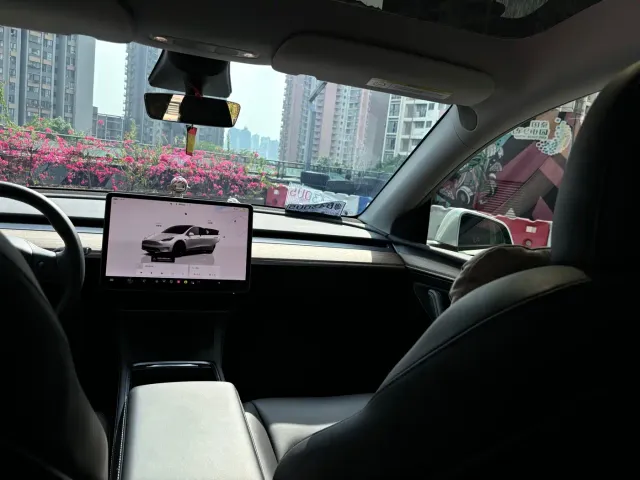 Tesla Model Y — Фото автомобиля 12