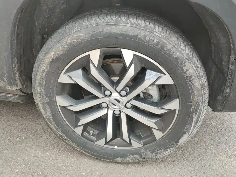 Haval Haval Big Dog 2022 1.5T DCT FWD Border Collie Edition — Фото автомобиля 6