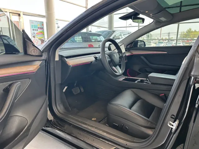 Tesla Model 3 — Фото автомобиля 4