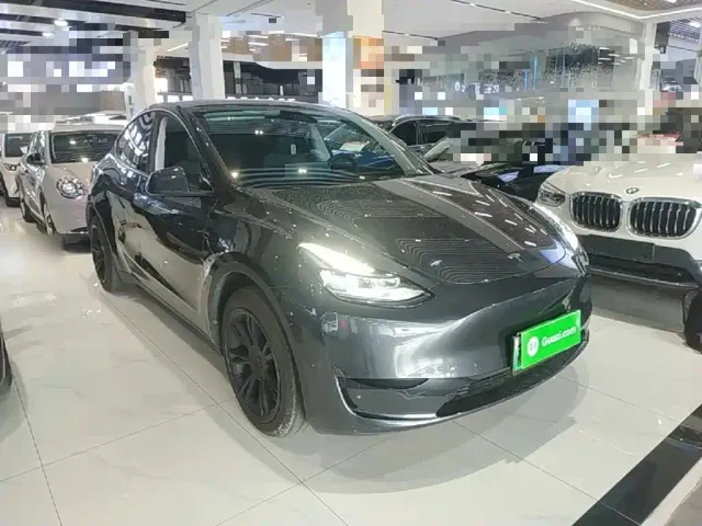 Tesla Model Y — Фото автомобиля 3