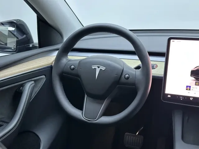 Tesla Model Y — Фото автомобиля 18