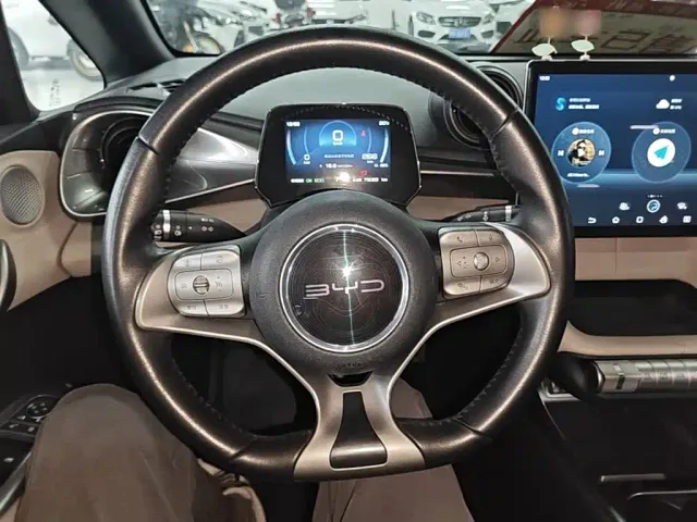 BYD Dolphin — Фото автомобиля 10