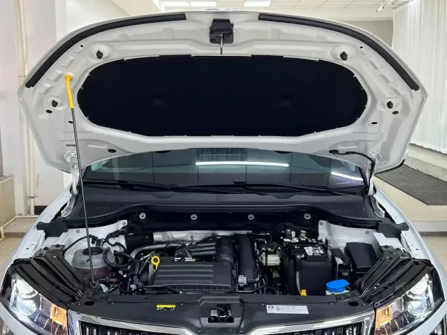 Skoda Karoq — Фото автомобиля 20