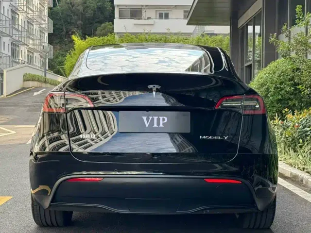 Tesla Model Y — Фото автомобиля 9