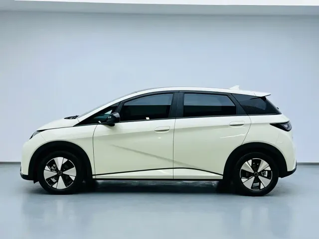 BYD Dolphin — Фото автомобиля 8