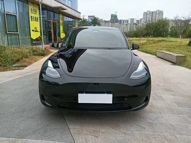 Tesla Model Y — Фото автомобиля 2