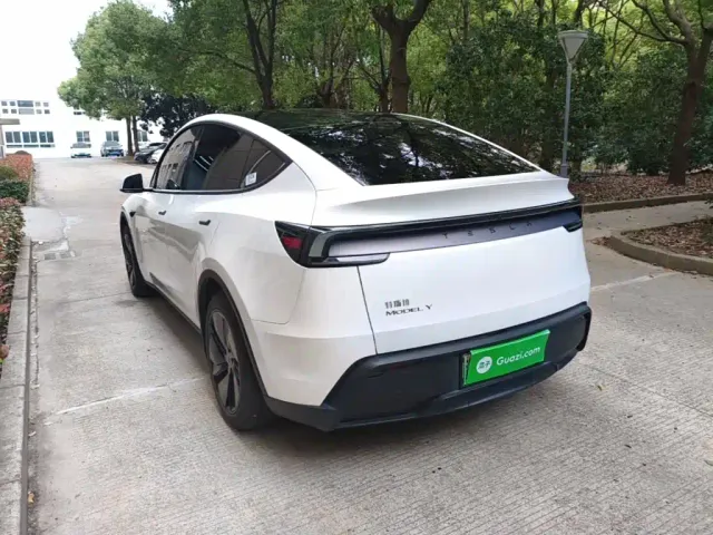Tesla Model Y — Фото автомобиля 4