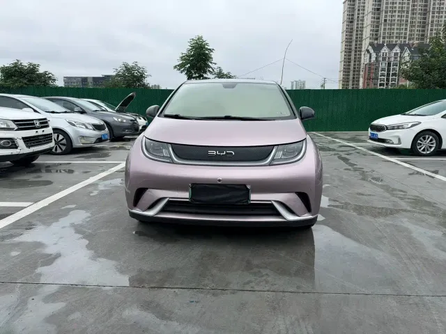 BYD Dolphin — Фото автомобиля 8