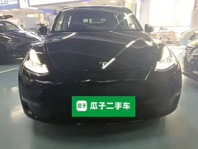 Tesla Model Y — Фото автомобиля 2