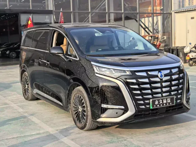 Denza D9 — Фото автомобиля 2