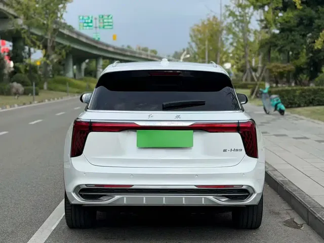 Hongqi Hongqi E-HS9 2021 460km Flagship Deluxe 7-seater — Фото автомобиля 12