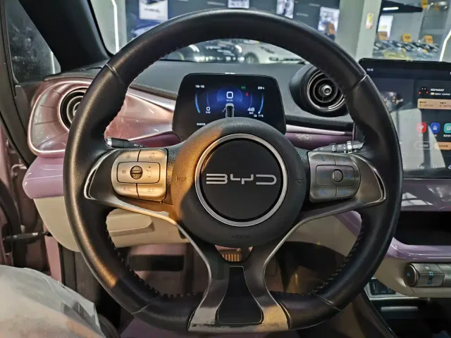 BYD Dolphin — Фото автомобиля 5