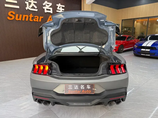 Ford Mustang — Фото автомобиля 25